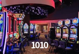 1010 Salvador - Promo Stats